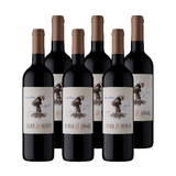 Tierra y Sangre Cabernet Franc - 6 unidades