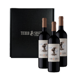 Tierra y Sangre Cabernet Franc - 3 unidades